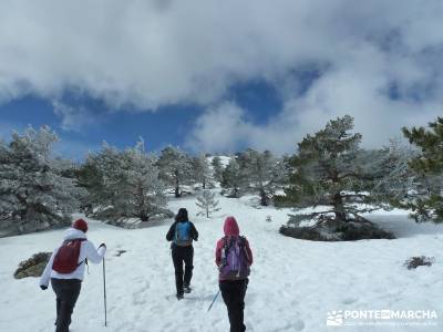 Siete Picos - Parque Nacional Cumbres del Guadarrama;senderismo la palma cerezo en flor valle del je